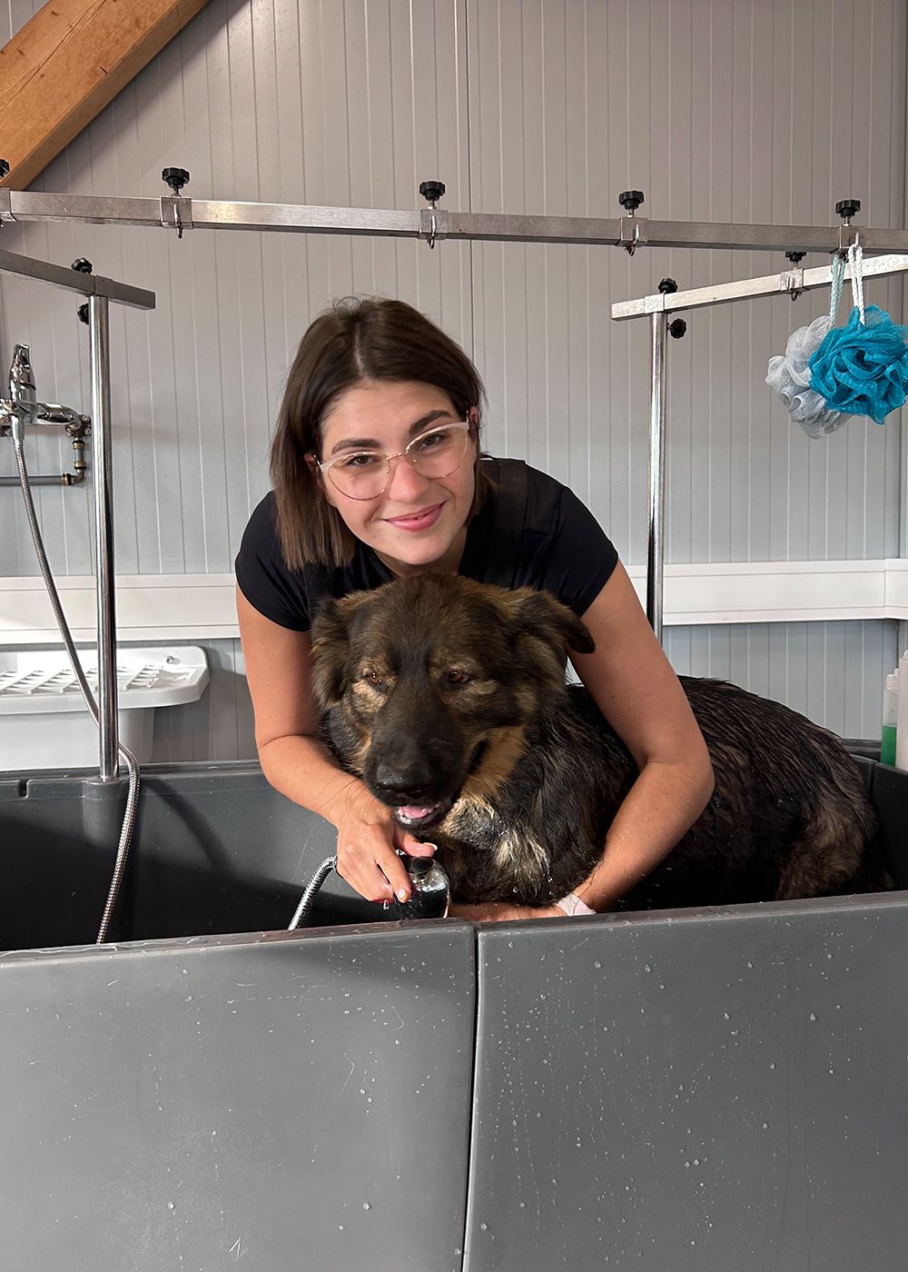 Hund wird im Tiersalon Pfotenfreunde gebadet