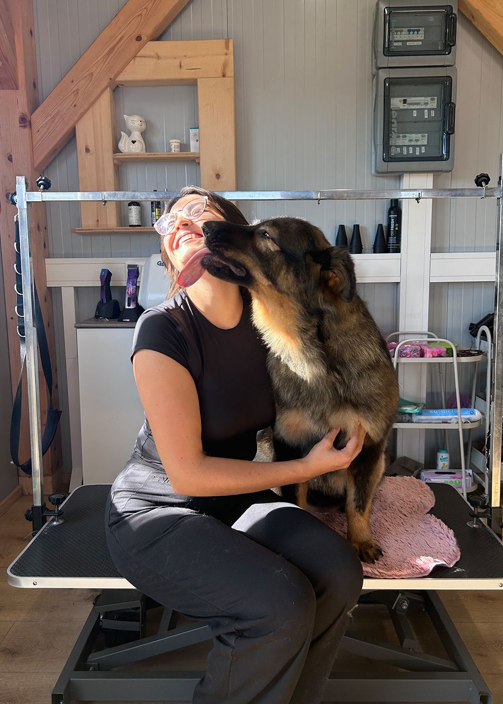 Frisch gepflegter Hund nach dem Hundefriseur-Termin